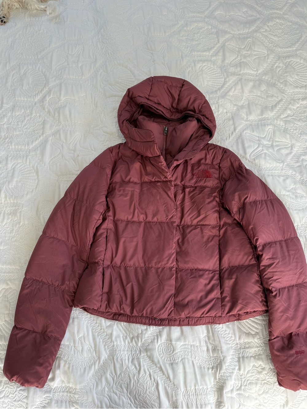 The North Face Women’s Hooded Puffer Jacket in Mauve